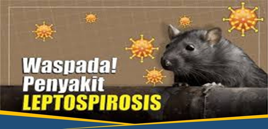 Banjir Melanda, Waspada Penyakit Leptospirosis Banjir Melanda, Waspada Penyakit Leptospirosis